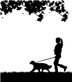 13078766-girl-walking-a-dog-in-park-in-spring-silhouette-layered-one-in-the-series-of-similar-images